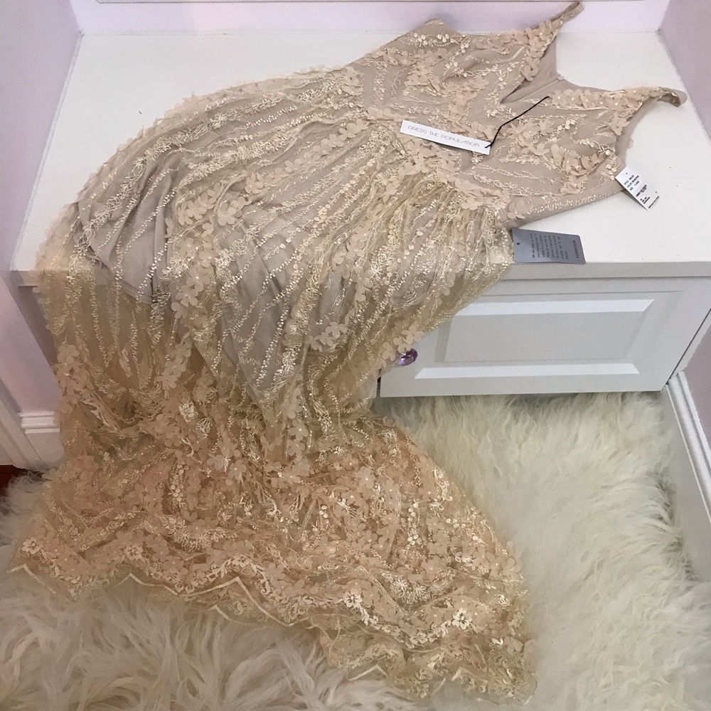 Dress the Population Chelsea Lace A-Line Gown - Picture 3 of 8